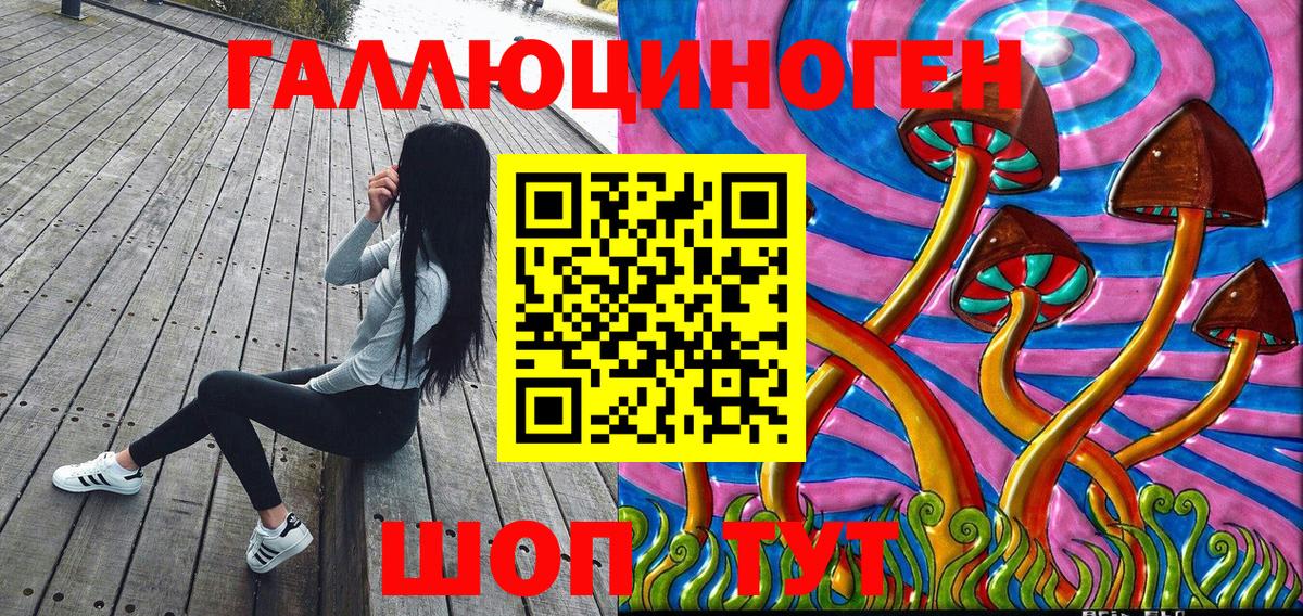 Галлюциногенные грибы Cubensis Буйнакск