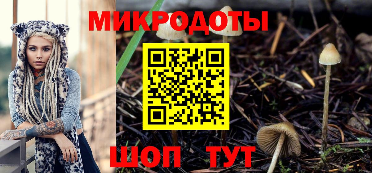 Буйнакск  Псилоцибиновые грибы ЛСД  Вход с VPN  Псилоцибиновые грибы мухоморы 
